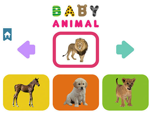 Play Baby Animal