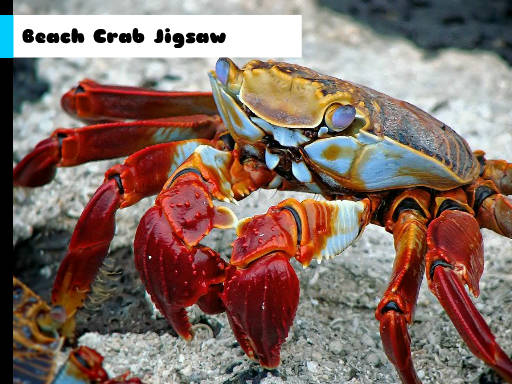 Play Beach Crab Jigsaw