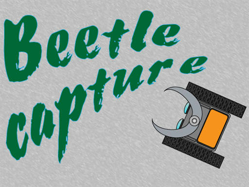 Play Beetle capture