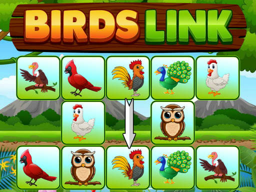 Play Birds Link