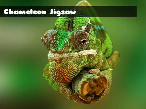 Play Chameleon Jigsaw