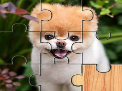 Play Cute Dogs Jigsaw Puzlle