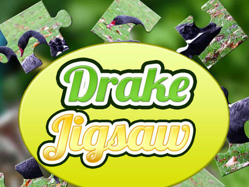 Play Drake Jigsaw