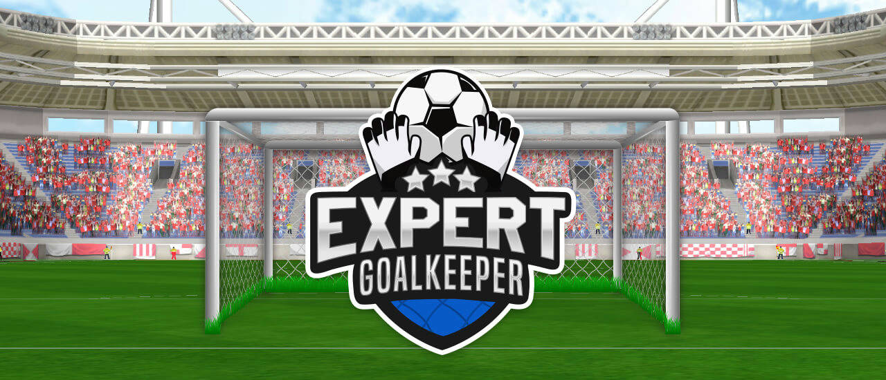 Play Expert Goalkeeper