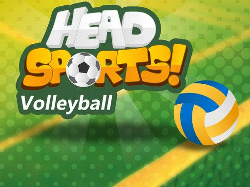 Play Head Sports Volleyball