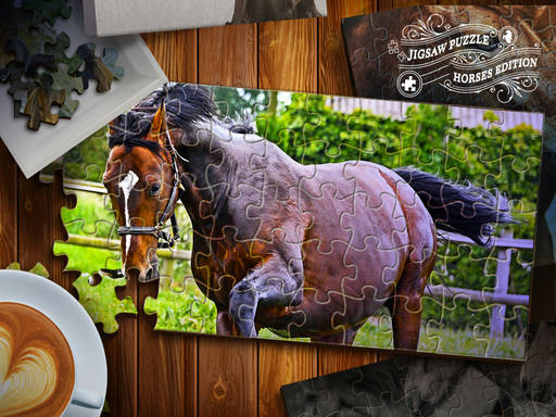 Play Jigsaw Puzzle Horses Edition