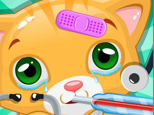 Play Little Cat Doctor