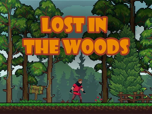 Play Lost in the Woods