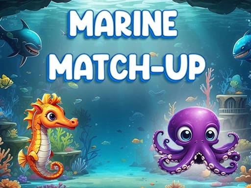 Play Marine Match Up