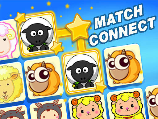 Play Match Connect