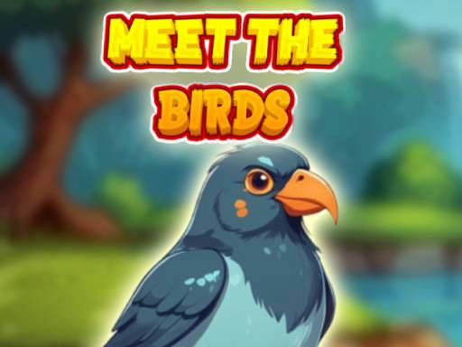 Play Meet The Birds