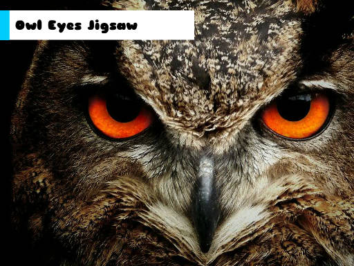 Play Owl Eyes Jigsaw