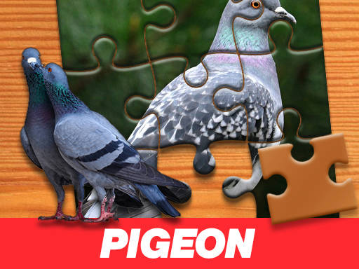 Play Pigeon Jigsaw Puzzle