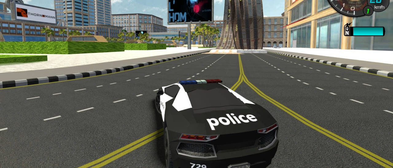 Play Police Stunt Cars