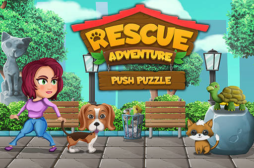 Play Push Puzzle Rescue Adventure