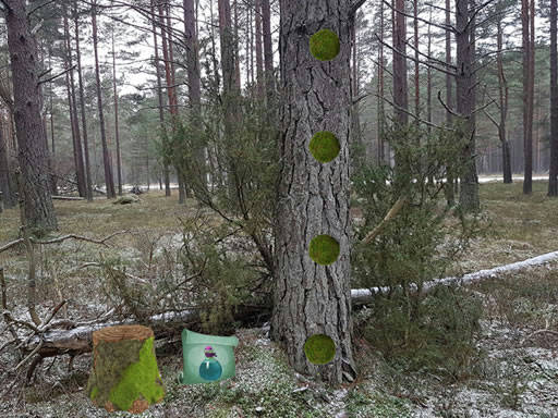 Play Return To The Frozen Forest