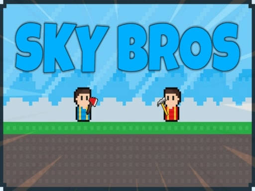 Play Sky Bros