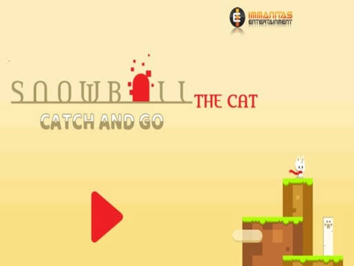 Play Snowball The Cat Catch and Go