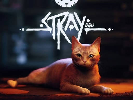 Play Stray