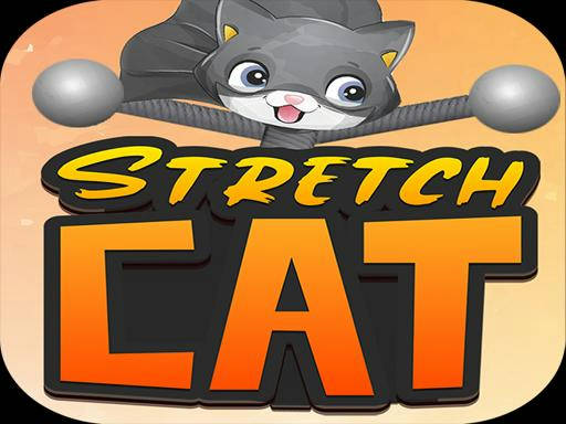 Play STRETCH CAT 3D