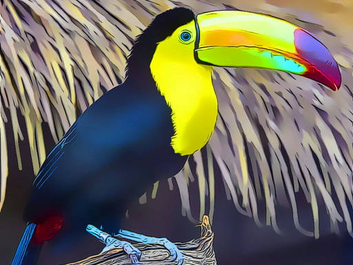 Play Toucan Bird Jigsaw