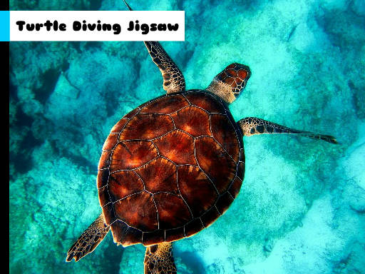 Play Turtle Diving Jigsaw