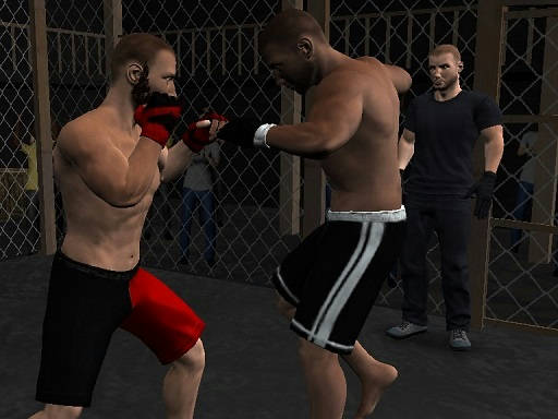 Play Undisputed MMA