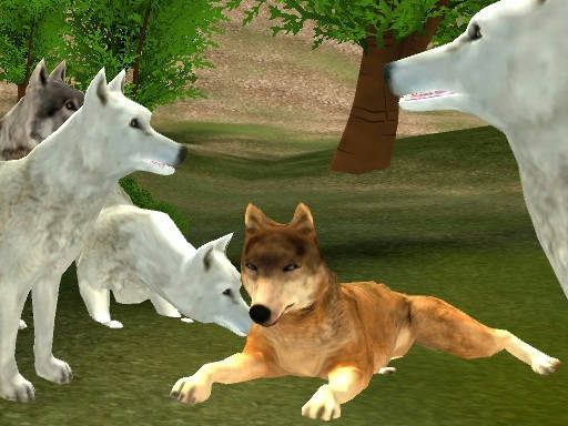 Play Wild Wolves