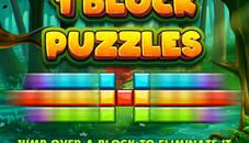 1 Block Puzzles