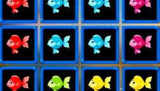 1010 Fish Blocks