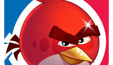 Angry bird Friends