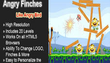 Angry Finches Funny Physic Game for Kids