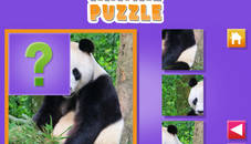 Animal Puzzle