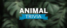 Animal Trivia