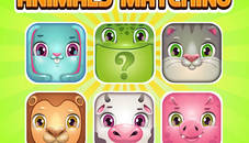 Animals Memory Matching