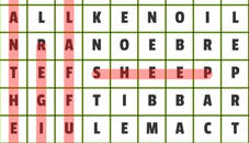 Animals Word Search