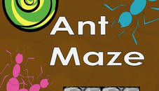 ant maze