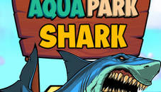 Aqua Park Shark