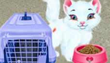 Baby Taylor Pet Care - Save Cute Animals