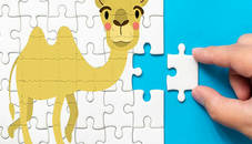 Bactrian camel Puzzle Challenge