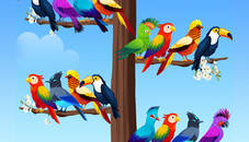 Bird Sort Puzzles