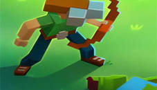 Blocky Universe