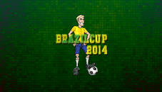 Brazil Cup 2014