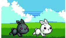 Bu Bunny Two Rabbit