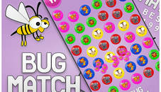 Bug Match for kids Education