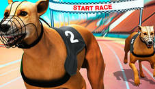 Crazy Dog Racing Fever