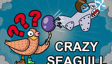 Crazy Seagull