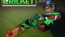 Cricket Batter Challenge Game