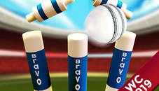 Cricket World Cup Game 2019 Mini Ground Cricke