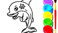 Dolphin Coloring Book